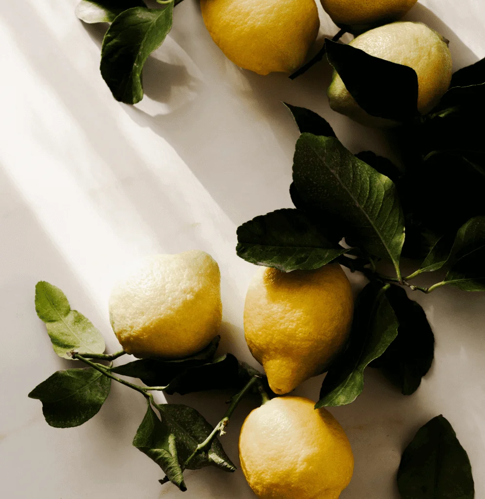 Healthy & Delicious Grab&Go